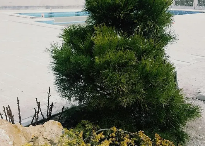 Pensionat Sangria Luxury Family Năvodari