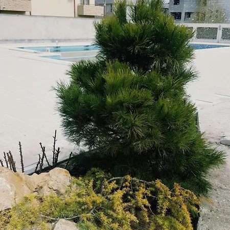 Gasthof Sangria Luxury Family Năvodari